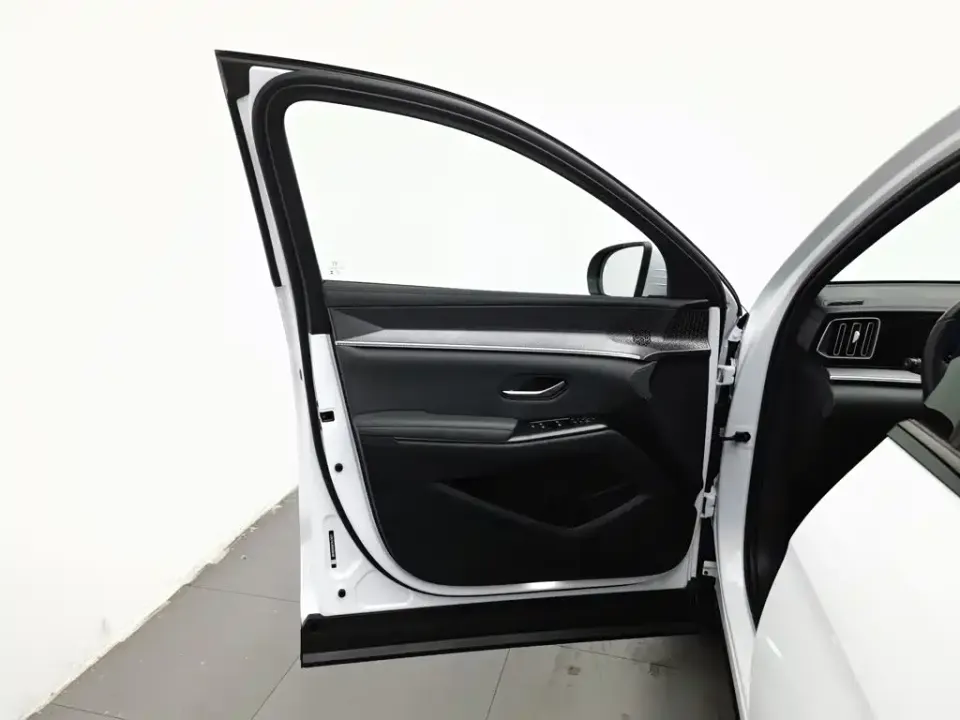 BYD Pro New Energy