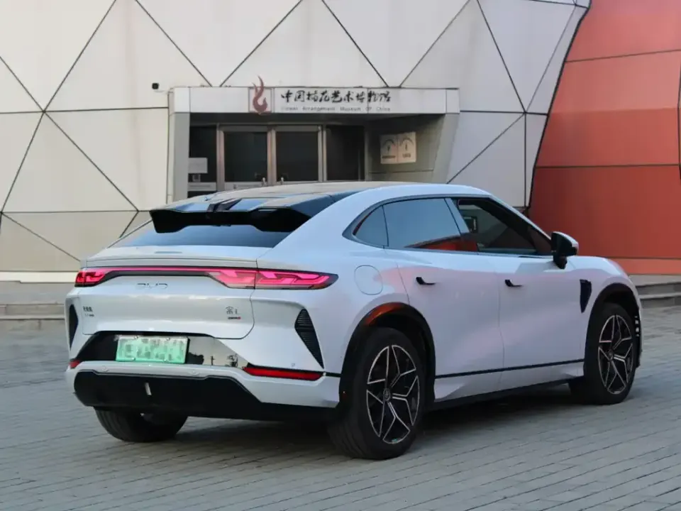BYD L EV