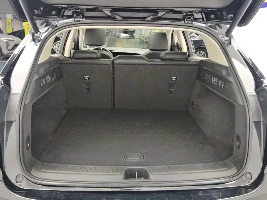 Buick Envision S