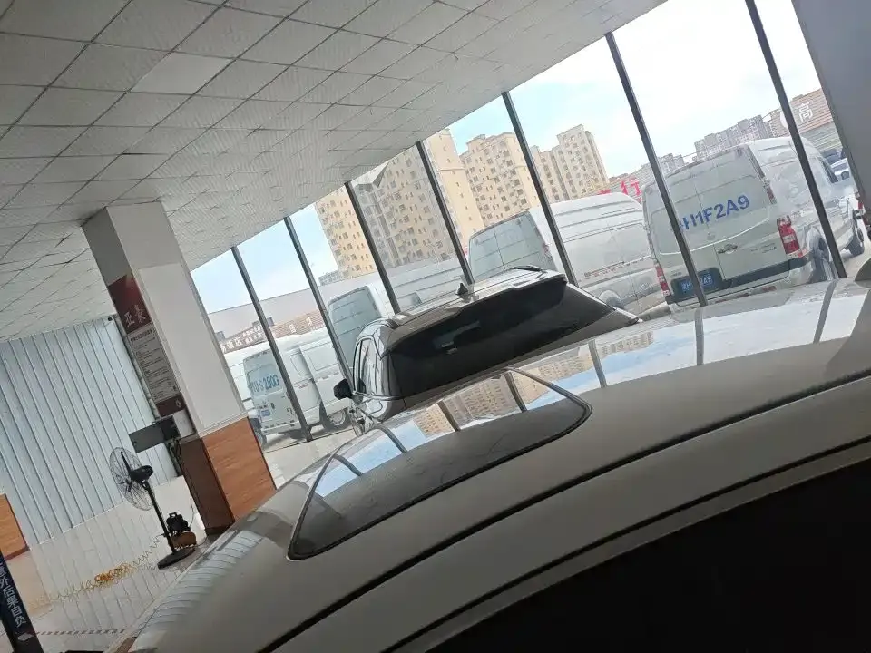Hongqi Hongqi H5