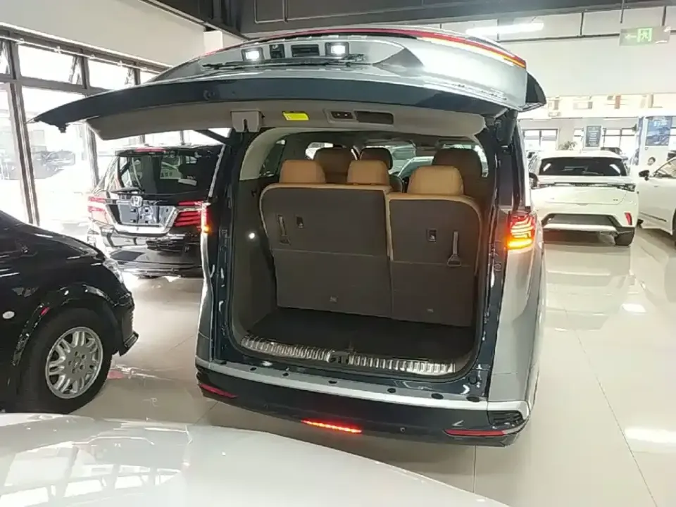 Denza Denza D9