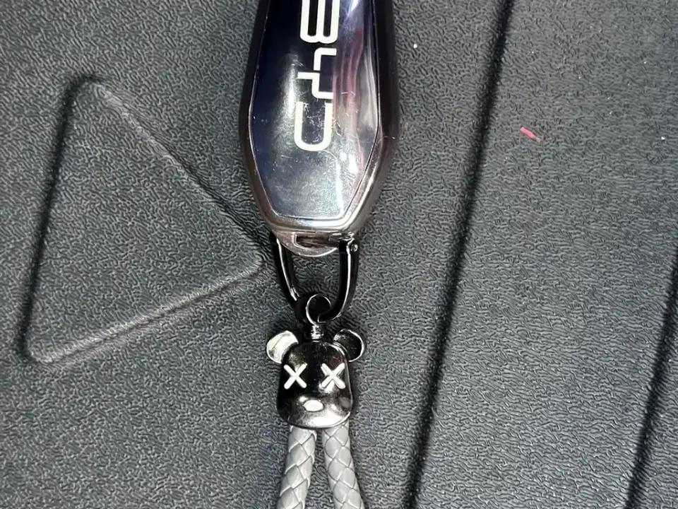 BYD Qin L