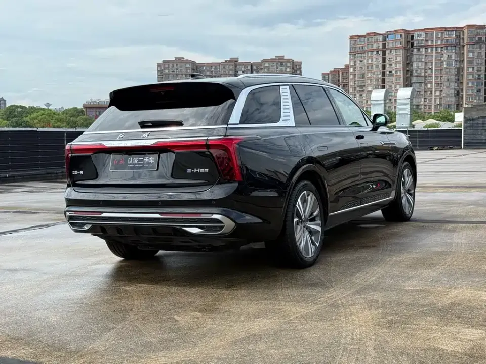 Hongqi Hongqi E-HS9