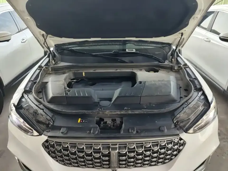 WEY Wey VV6