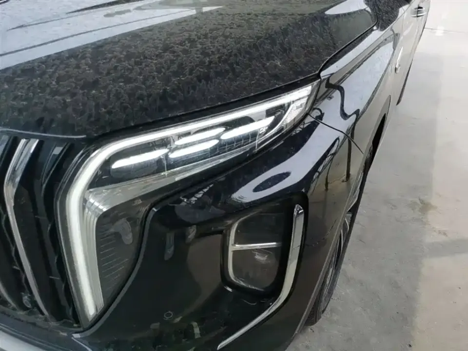 Hongqi Hongqi HS7 PHEV