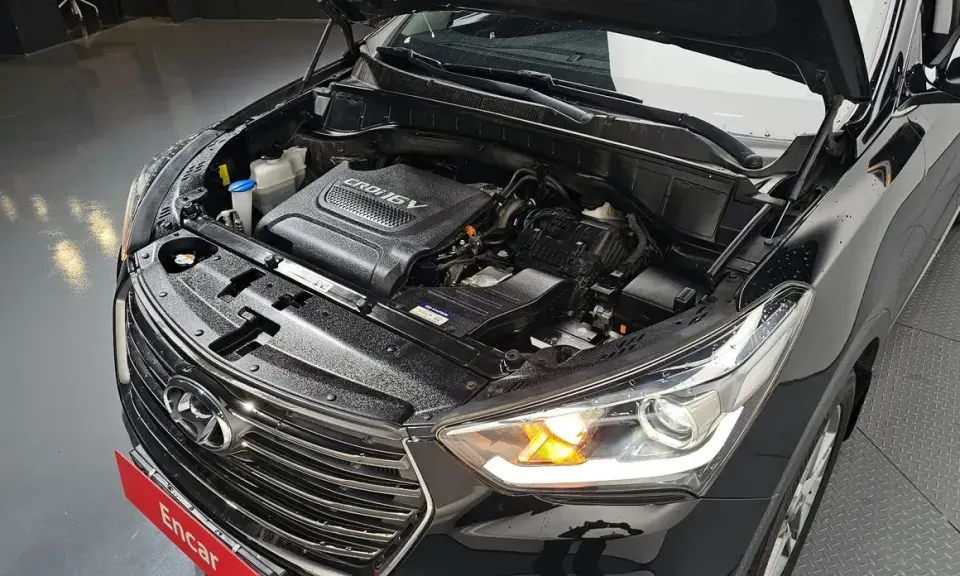 Hyundai Maxcruz