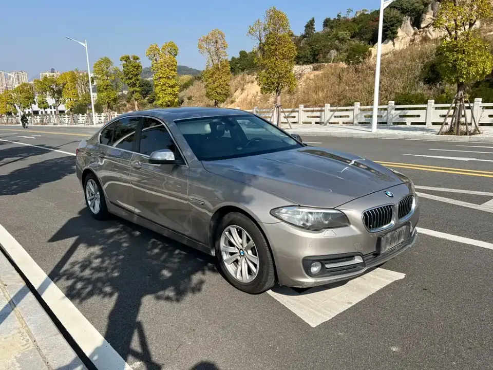 BMW 5 Series (Import)