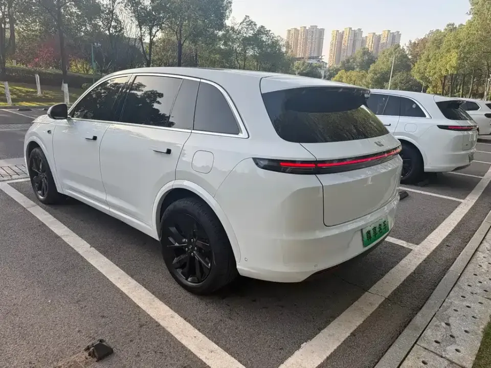 Li Li L7