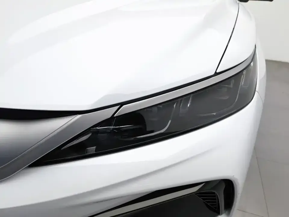 BYD Pro New Energy