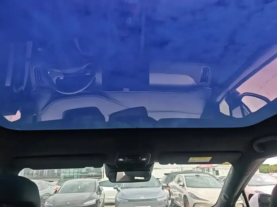 BYD L EV