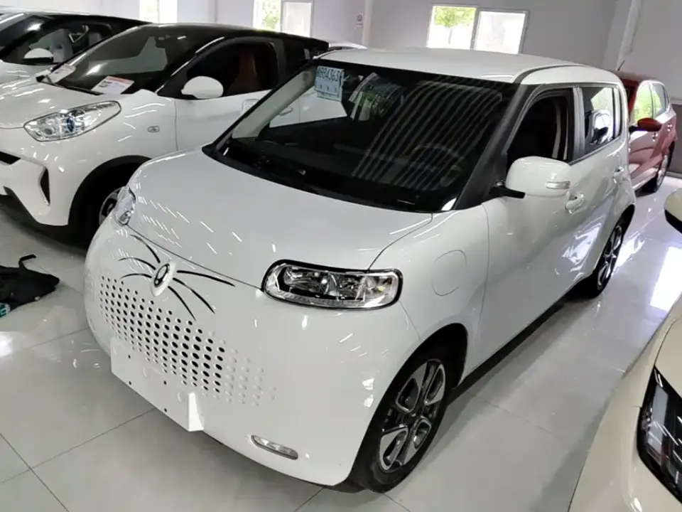 ORA Ora White Cat