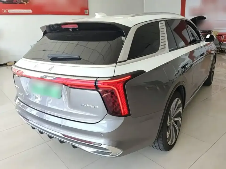 Hongqi Hongqi E-HS9
