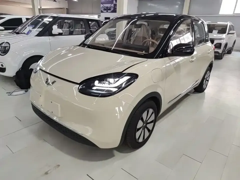 Wuling Bingo