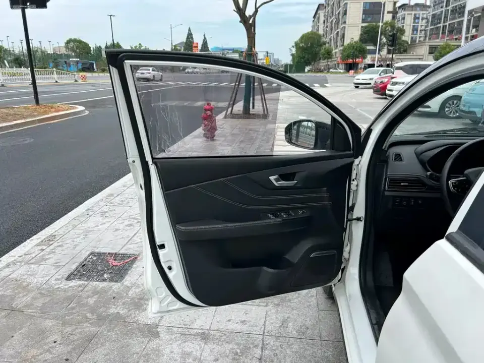 Singulato SITECH DEV 1