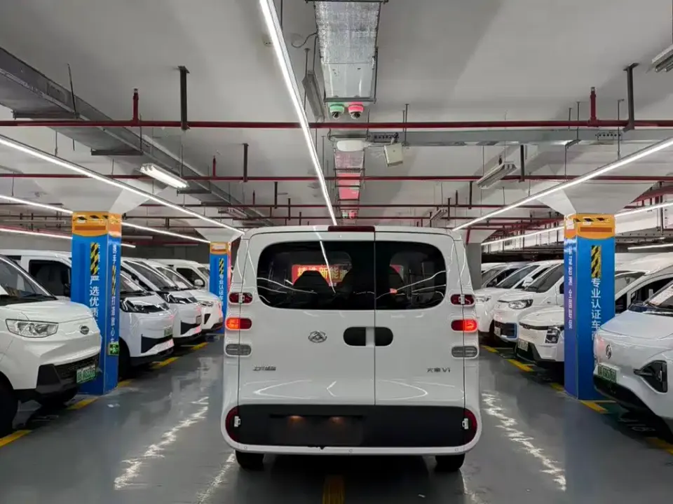 Maxus V1L