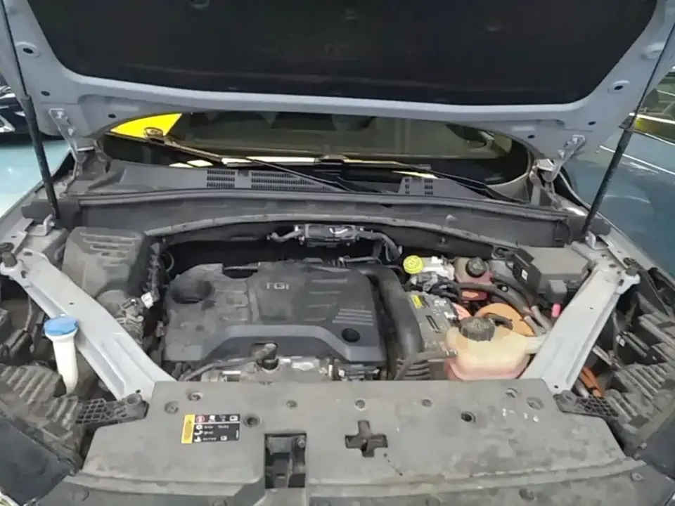 Roewe RX5 New Energy