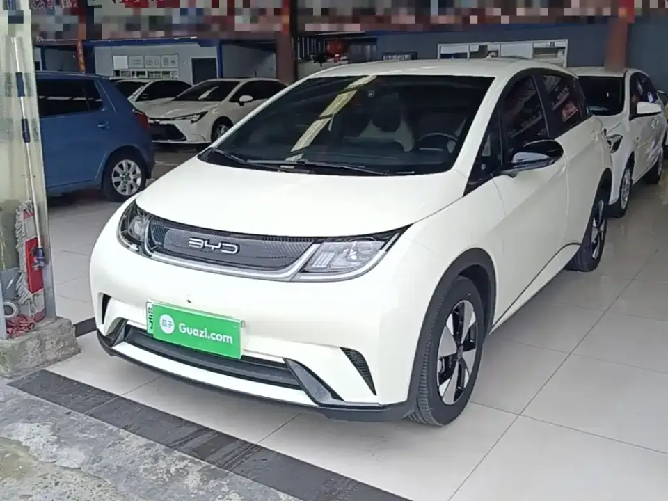 BYD Dolphin