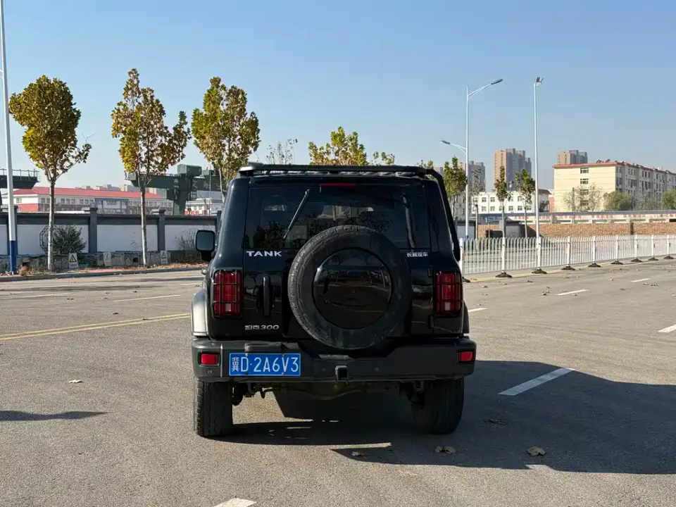 Tank 300