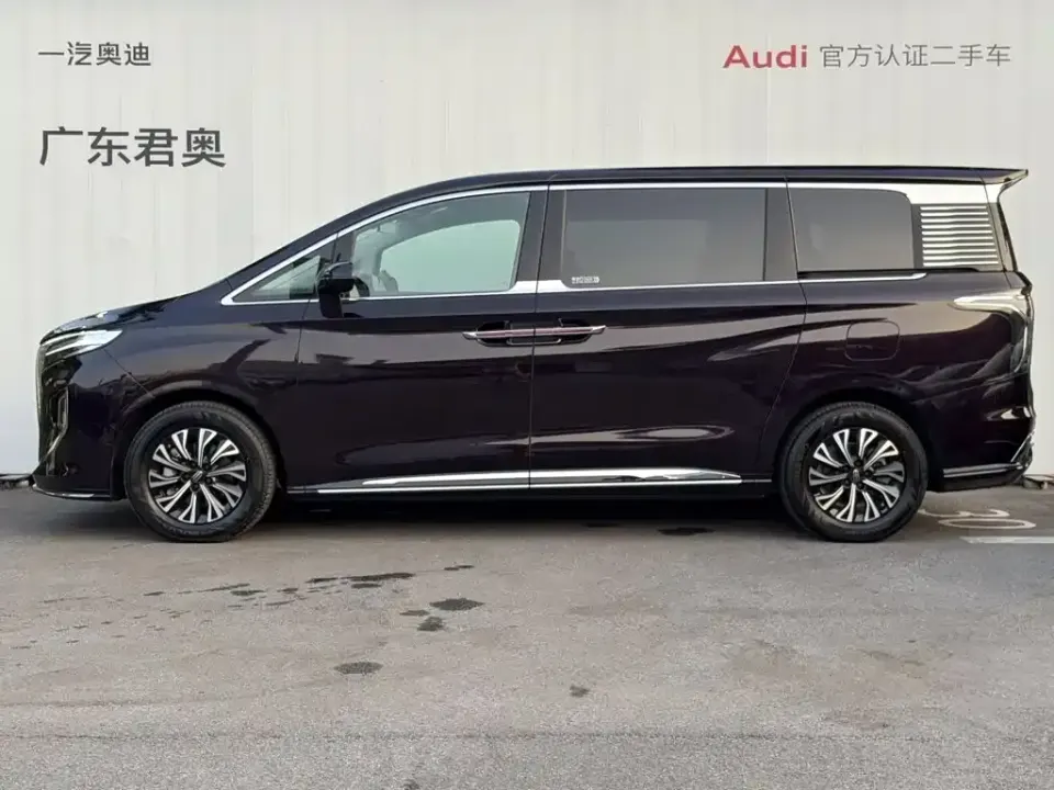 Hongqi Hongqi HQ9