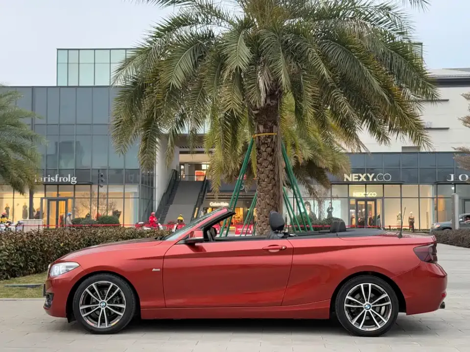 BMW 2 Series (Import)