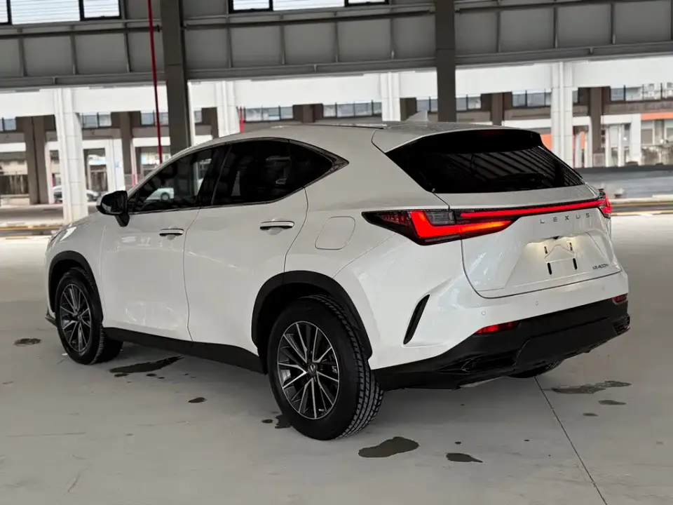 Lexus NX New Energy