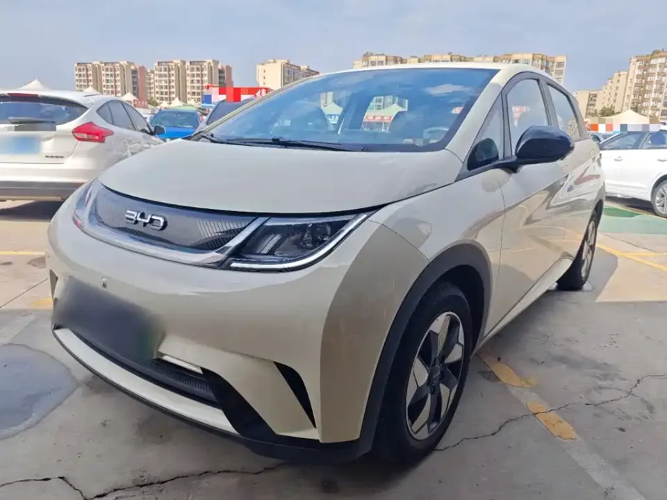 BYD Dolphin