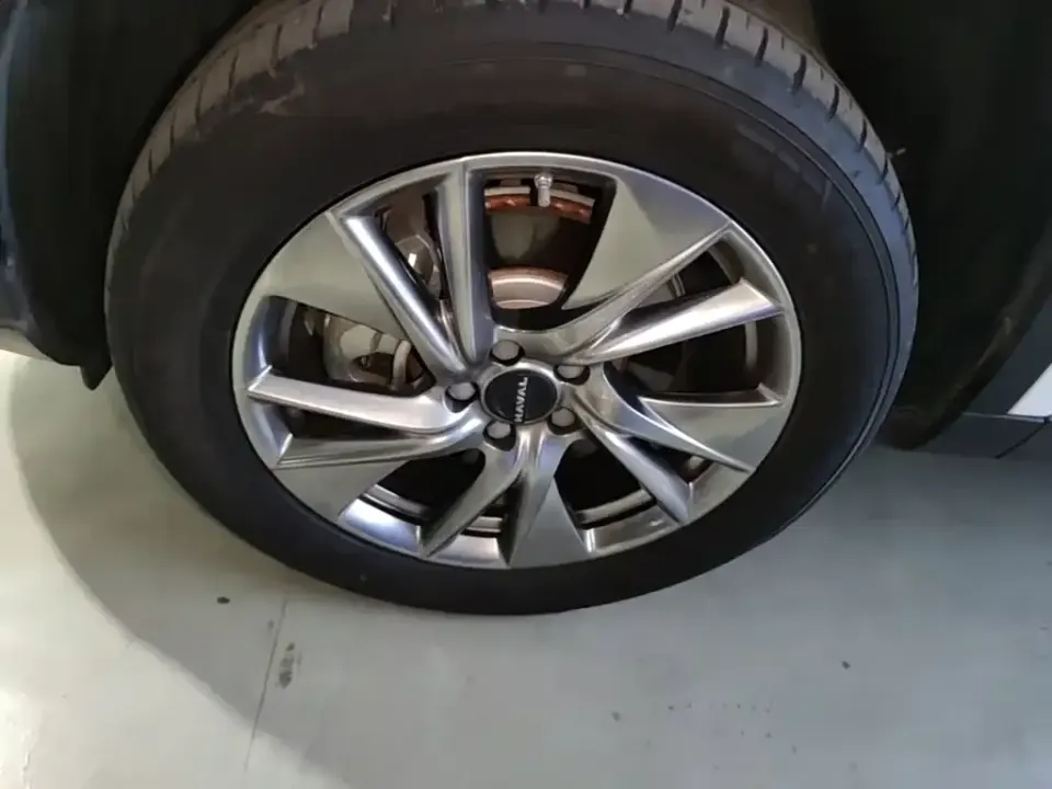 Haval H6 New Energy
