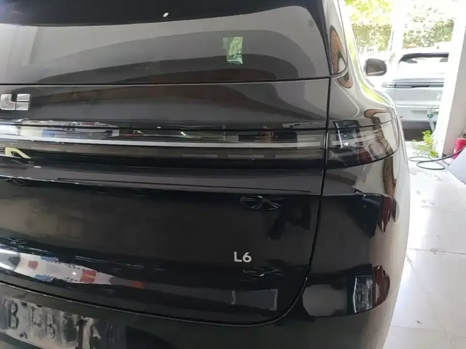 Li Li L6