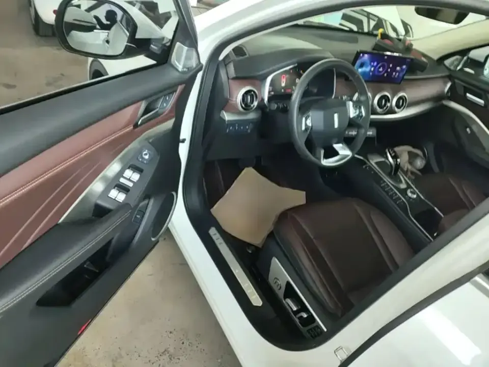 WEY Wey VV6