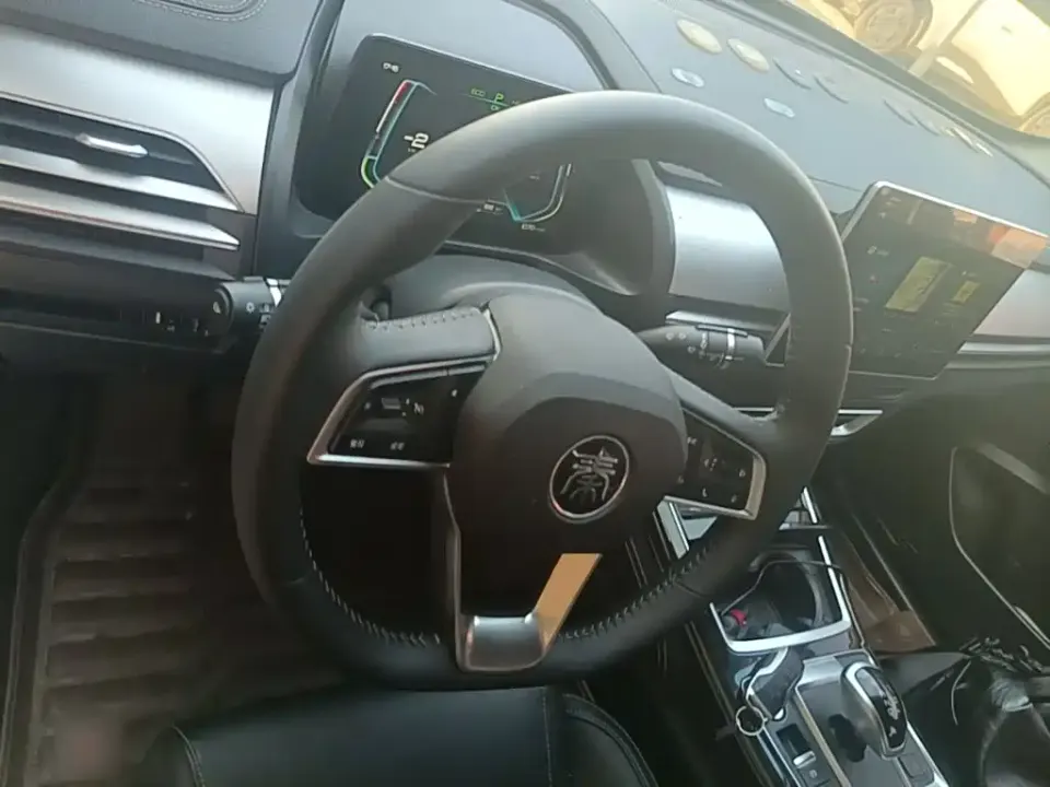 BYD Qin Pro NEV