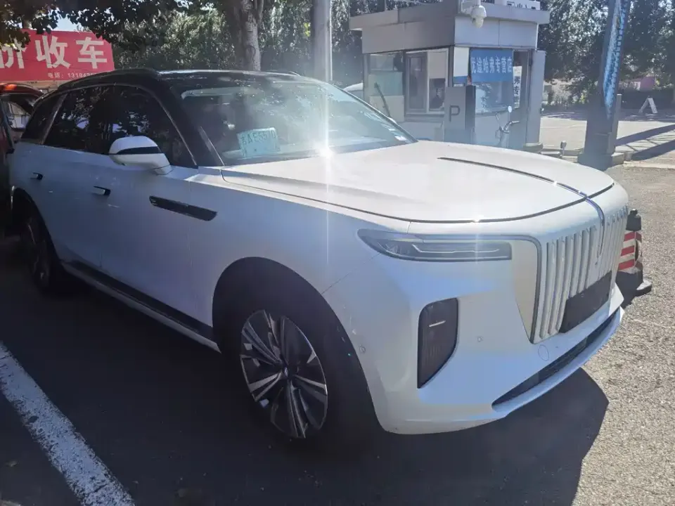 Hongqi Hongqi E-HS9