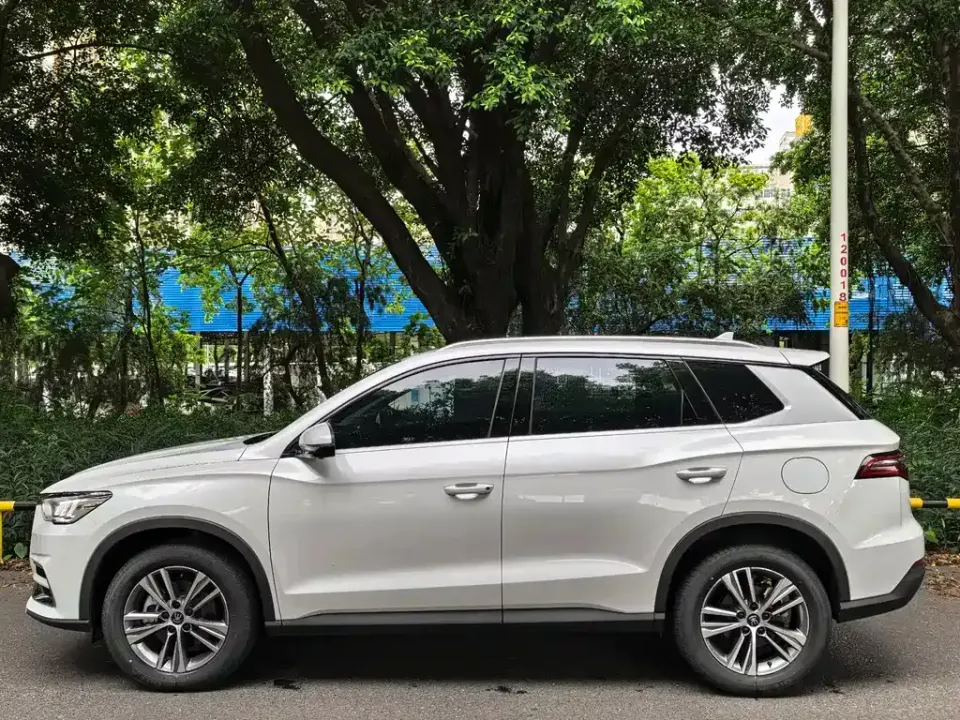 BYD Pro