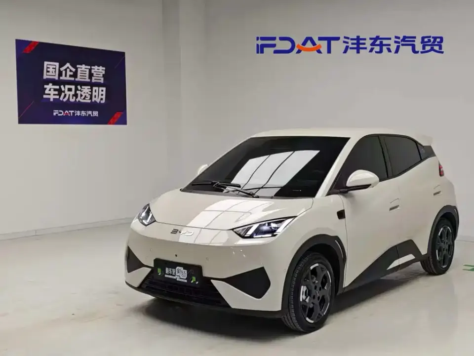 BYD Seagull