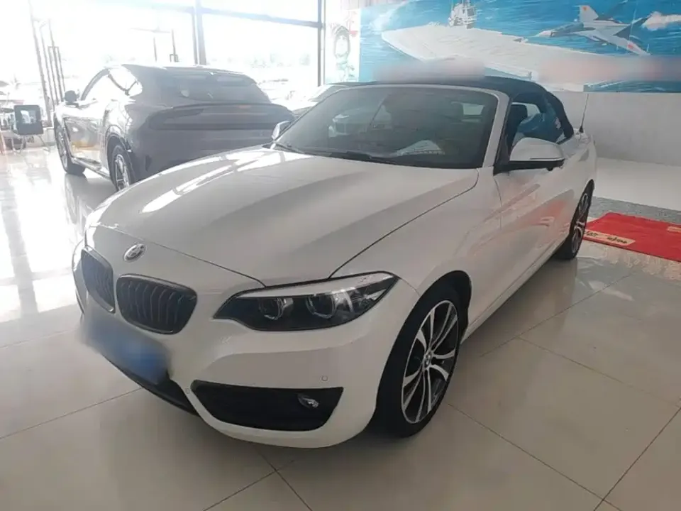 BMW 2 Series (Import)