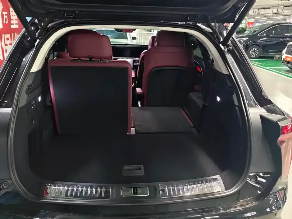 Hongqi Hongqi E-HS9