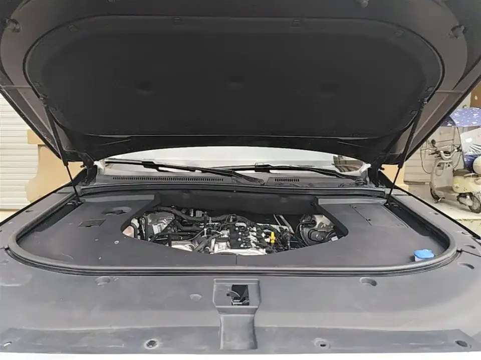 Hongqi Hongqi HS7