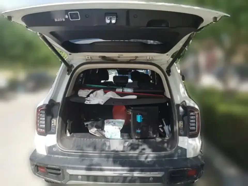 Haval Big Dog