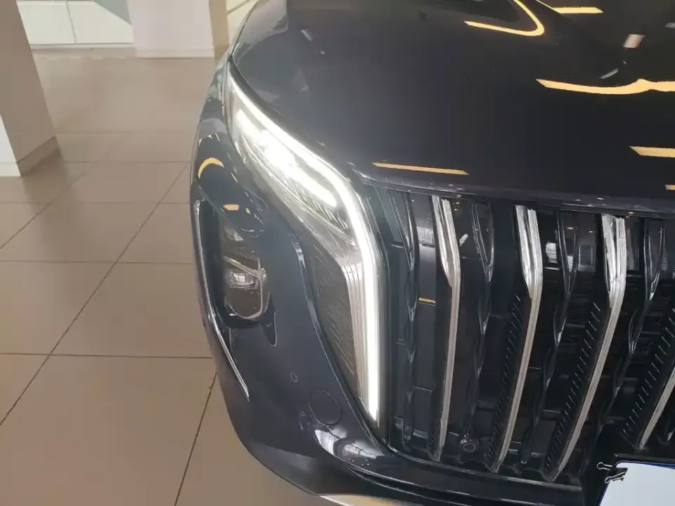 Hongqi Hongqi HS7