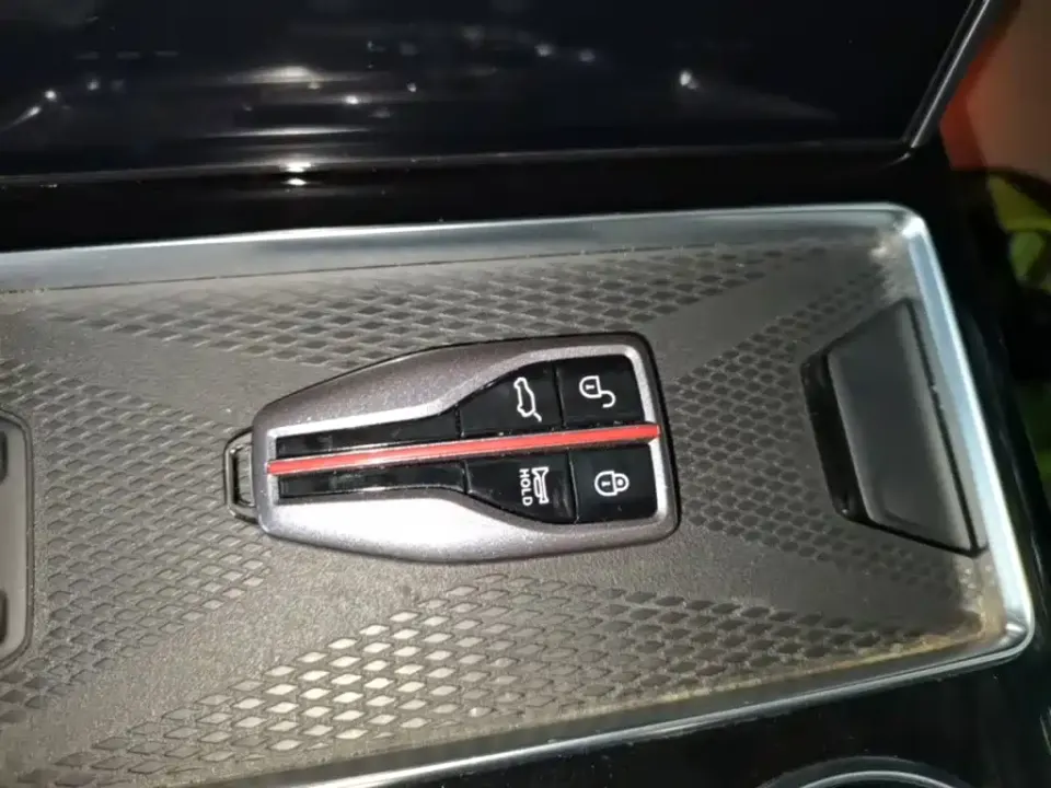 Hongqi Hongqi HS7