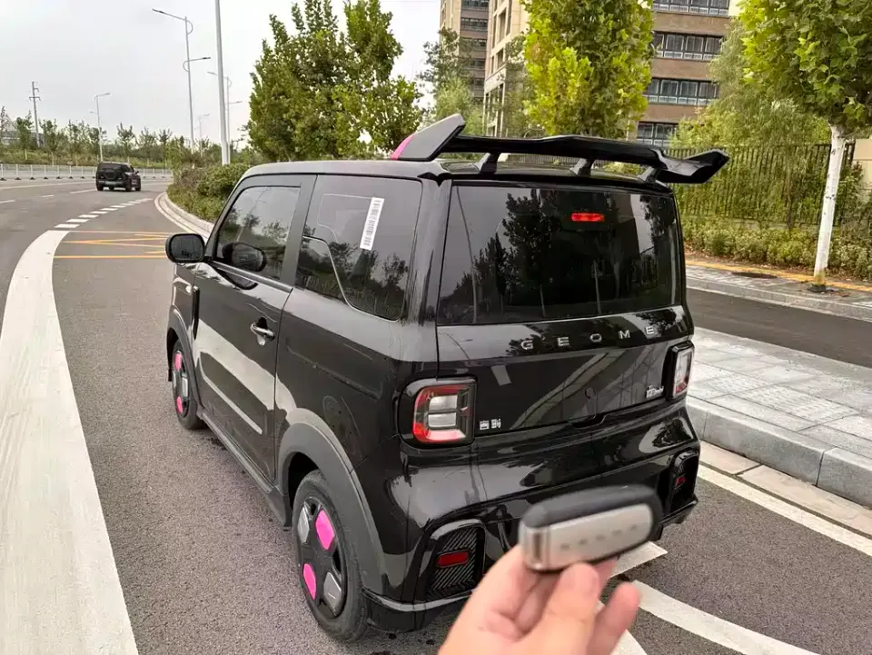 Galaxy Panda