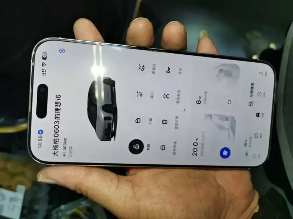 Li Li i6
