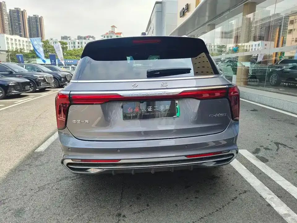 Hongqi Hongqi E-HS9