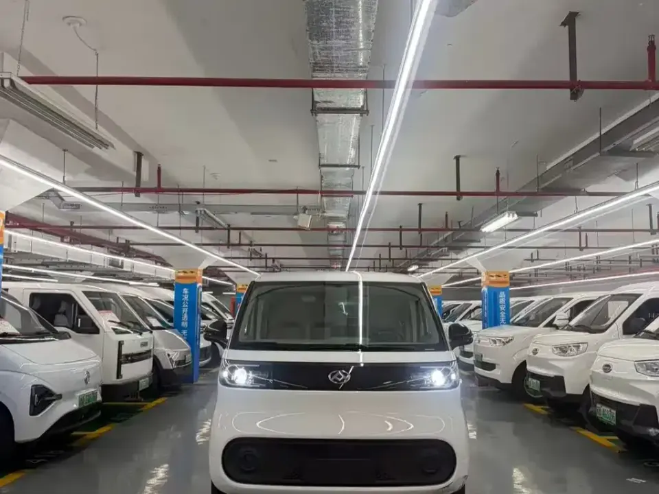 Maxus V1L