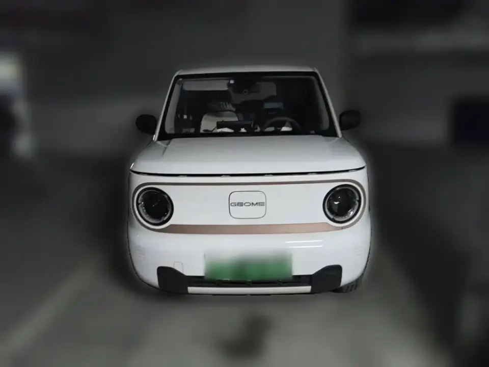 Galaxy Panda