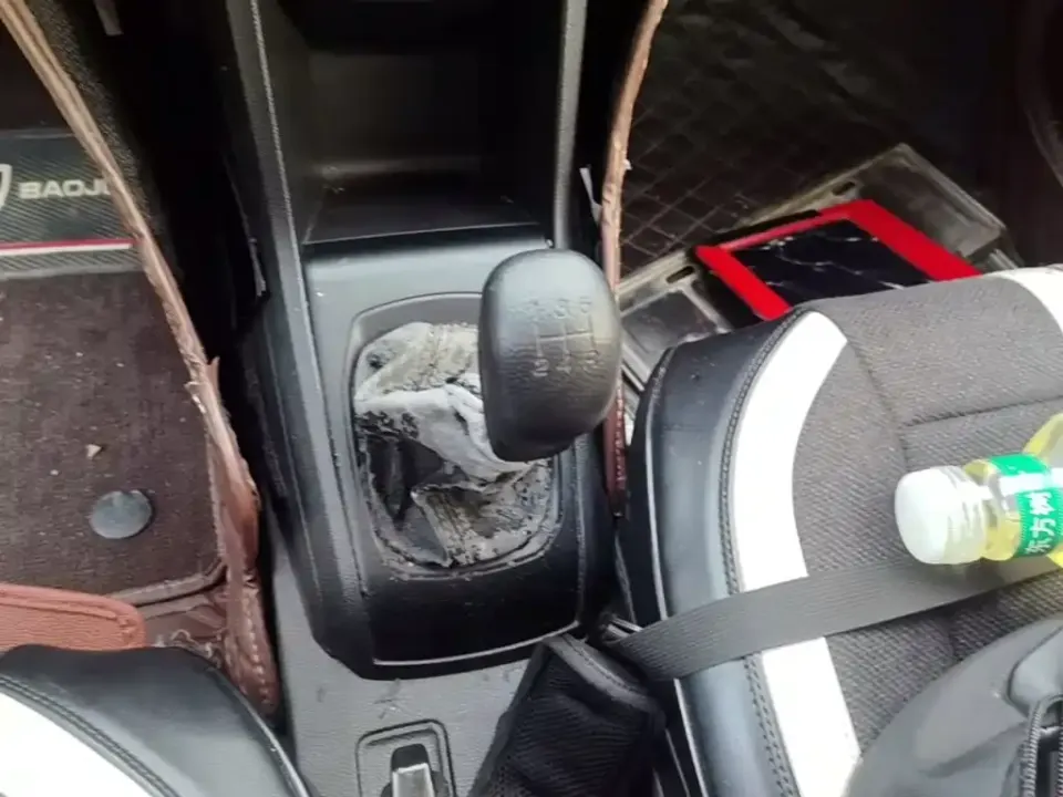 Baojun 310