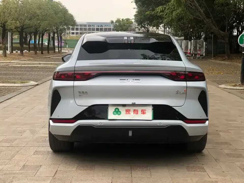 BYD L EV