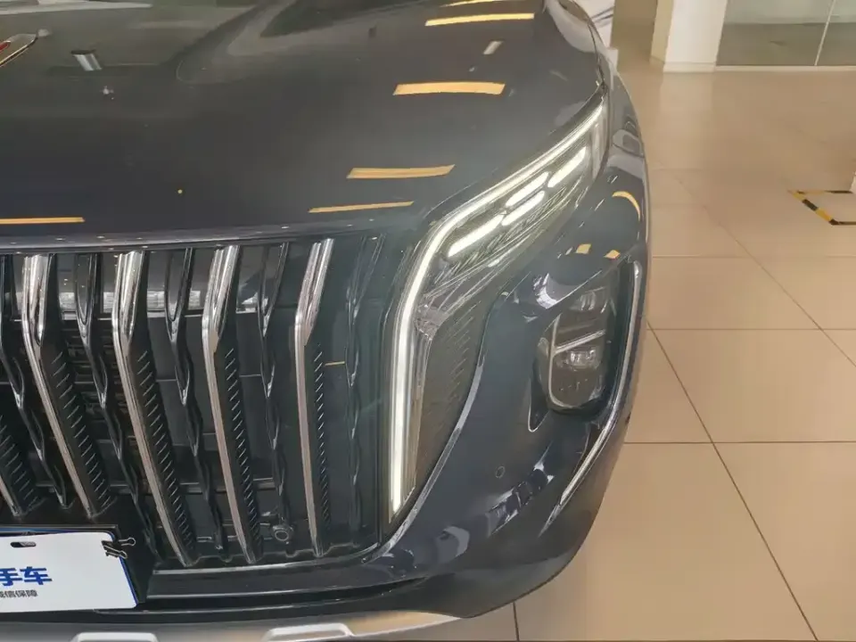 Hongqi Hongqi HS7