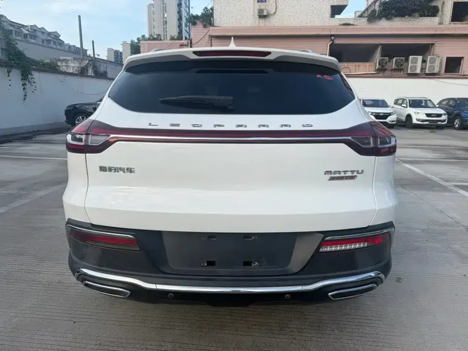 Leopaard Mattu