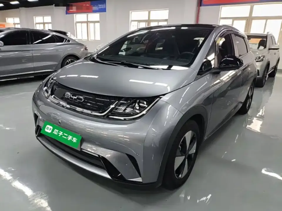 BYD Dolphin