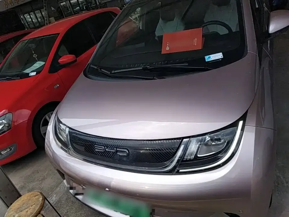 BYD Dolphin